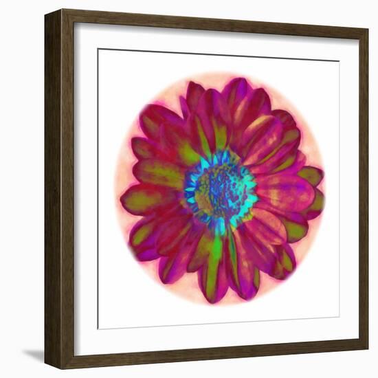 Flora Orb II-Ricki Mountain-Framed Art Print