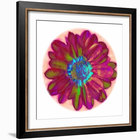 Flora Orb II-Ricki Mountain-Framed Art Print