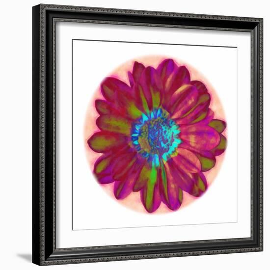 Flora Orb II-Ricki Mountain-Framed Art Print