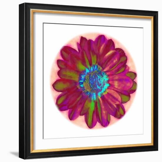 Flora Orb II-Ricki Mountain-Framed Art Print