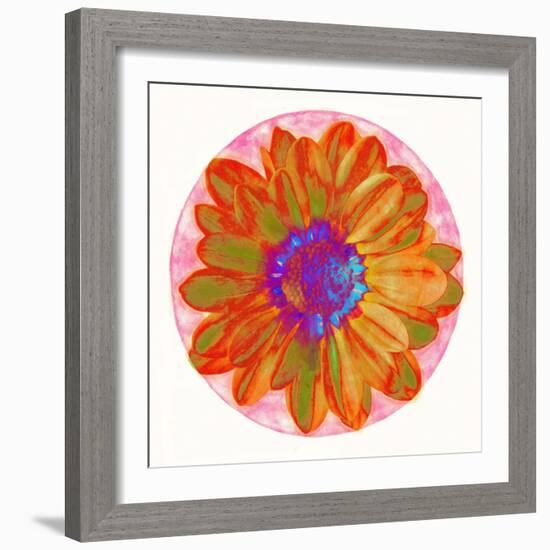 Flora Orb III-Ricki Mountain-Framed Art Print