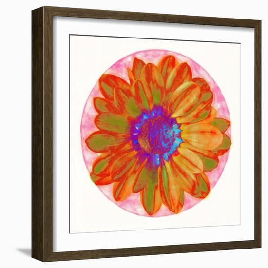 Flora Orb III-Ricki Mountain-Framed Art Print