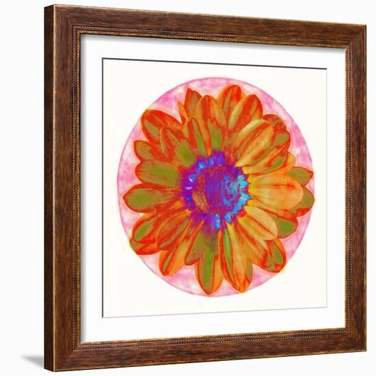 Flora Orb III-Ricki Mountain-Framed Art Print