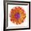 Flora Orb III-Ricki Mountain-Framed Art Print