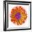 Flora Orb III-Ricki Mountain-Framed Art Print