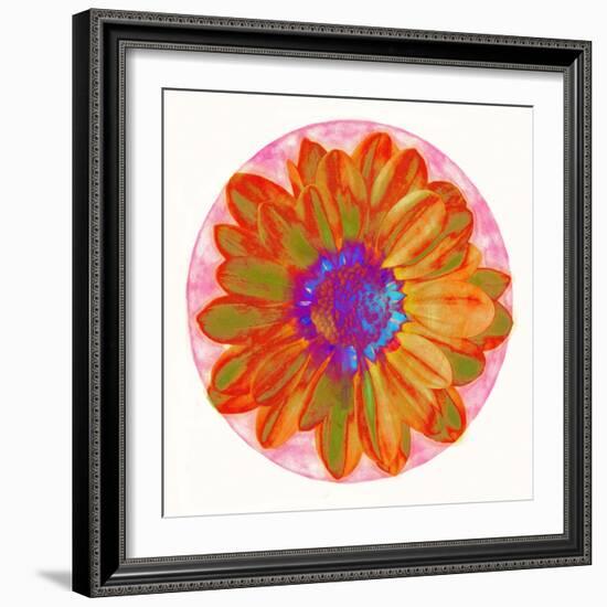 Flora Orb III-Ricki Mountain-Framed Art Print