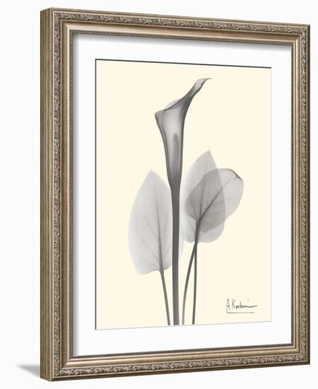 Flora Portrait 1-Albert Koetsier-Framed Art Print