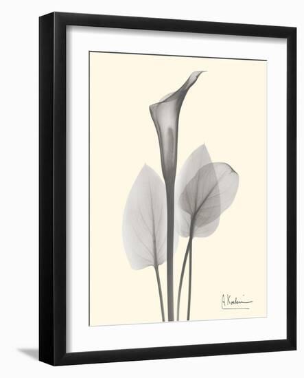 Flora Portrait 1-Albert Koetsier-Framed Art Print