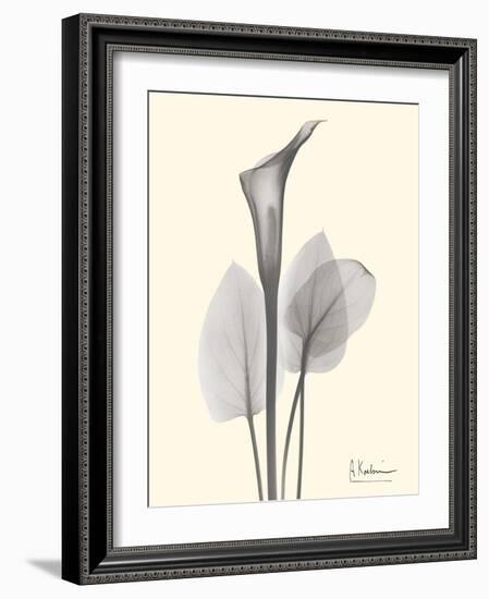 Flora Portrait 1-Albert Koetsier-Framed Art Print