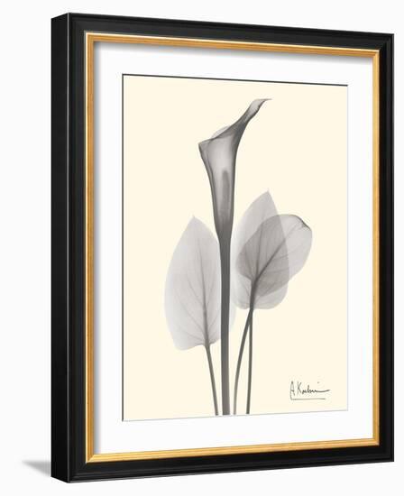 Flora Portrait 1-Albert Koetsier-Framed Art Print