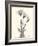 Flora Portrait 2-Albert Koetsier-Framed Art Print