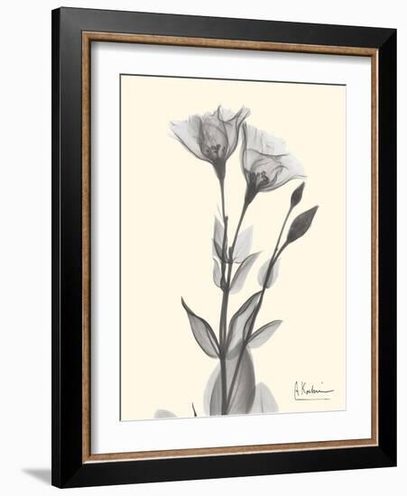 Flora Portrait 2-Albert Koetsier-Framed Art Print