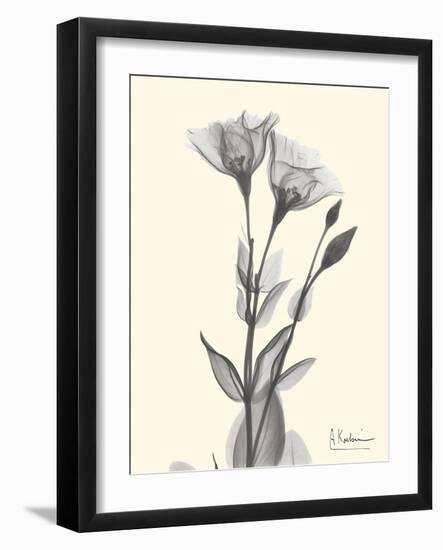 Flora Portrait 2-Albert Koetsier-Framed Art Print