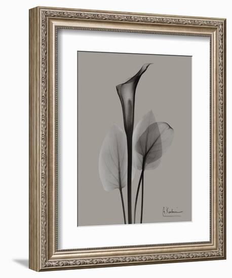 Flora Portrait A-Albert Koetsier-Framed Art Print