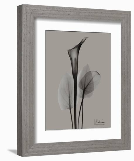 Flora Portrait A-Albert Koetsier-Framed Art Print