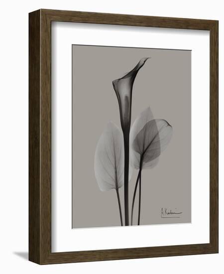 Flora Portrait A-Albert Koetsier-Framed Art Print