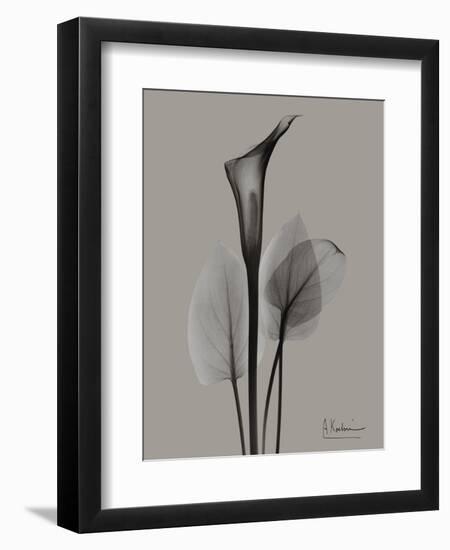 Flora Portrait A-Albert Koetsier-Framed Art Print