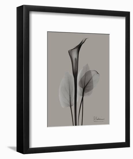 Flora Portrait A-Albert Koetsier-Framed Premium Giclee Print