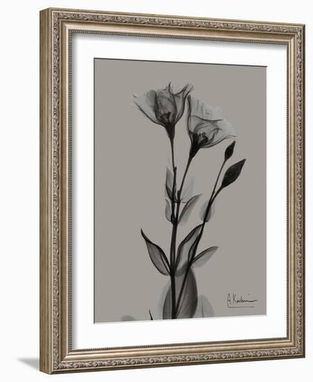 Flora Portrait B-Albert Koetsier-Framed Art Print