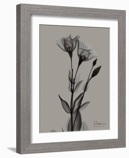 Flora Portrait B-Albert Koetsier-Framed Art Print