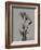 Flora Portrait B-Albert Koetsier-Framed Art Print