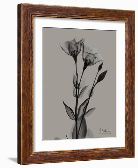 Flora Portrait B-Albert Koetsier-Framed Art Print