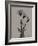 Flora Portrait B-Albert Koetsier-Framed Art Print