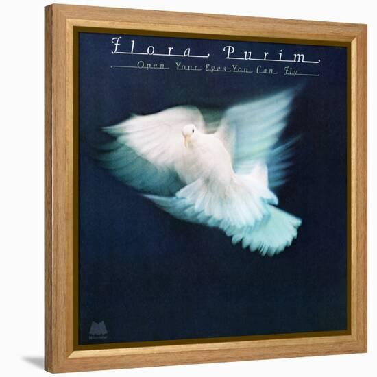 Flora Purim - Open Your Eyes You Can Fly-null-Framed Stretched Canvas