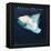 Flora Purim - Open Your Eyes You Can Fly-null-Framed Stretched Canvas