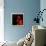 Flora Purim - Stories to Tell-null-Framed Stretched Canvas displayed on a wall