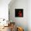 Flora Purim - Stories to Tell-null-Framed Stretched Canvas displayed on a wall