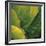 Flora Tropical - Fresh-Tony Koukos-Framed Giclee Print