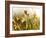 Flora, Tuolumne Meadows, Yosemite National Park, California, Usa-Paul Colangelo-Framed Photographic Print