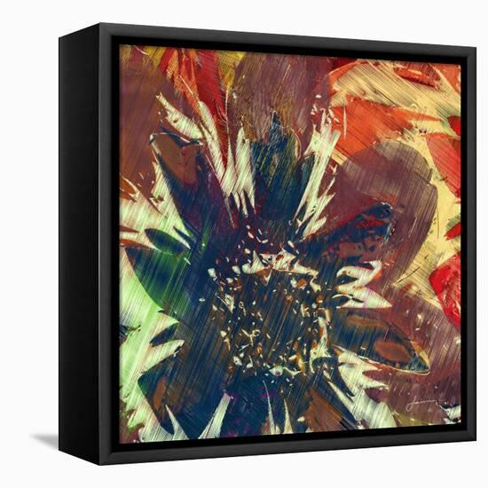 Floragraph V-James Burghardt-Framed Stretched Canvas