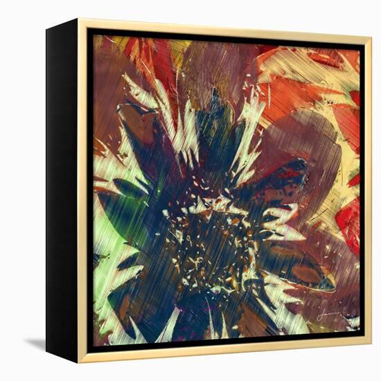 Floragraph V-James Burghardt-Framed Stretched Canvas