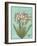 Floraison Nouveau 1-Devon Ross-Framed Art Print