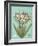 Floraison Nouveau 1-Devon Ross-Framed Art Print