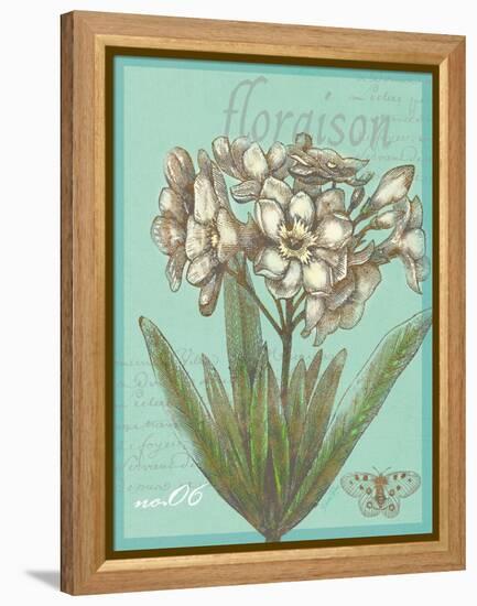 Floraison Nouveau 1-Devon Ross-Framed Stretched Canvas