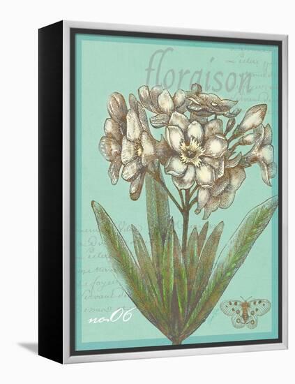 Floraison Nouveau 1-Devon Ross-Framed Stretched Canvas