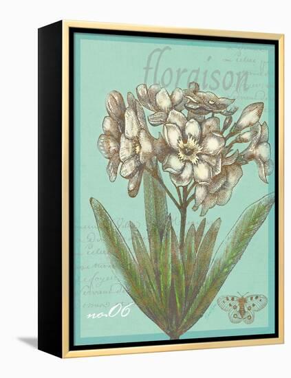 Floraison Nouveau 1-Devon Ross-Framed Stretched Canvas