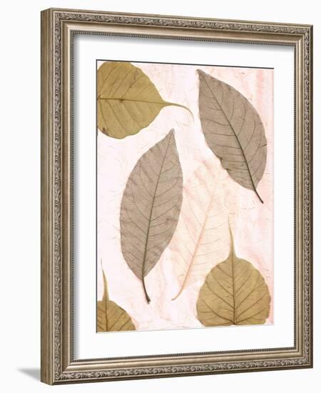 Floral #23-Alan Blaustein-Framed Photographic Print