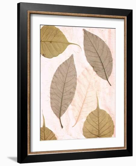 Floral #23-Alan Blaustein-Framed Photographic Print