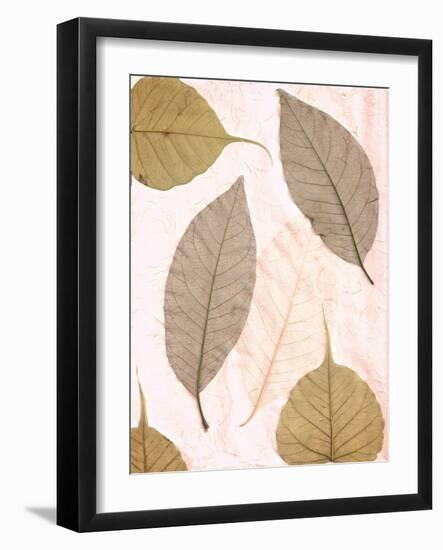 Floral #23-Alan Blaustein-Framed Photographic Print