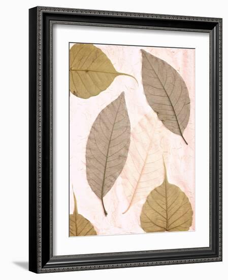 Floral #23-Alan Blaustein-Framed Photographic Print