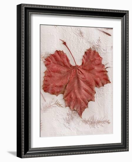 Floral #31-Alan Blaustein-Framed Photographic Print