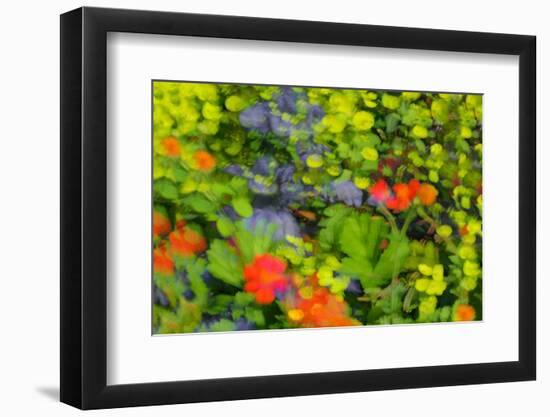 Floral abstract ll-Heidi Westum-Framed Photographic Print