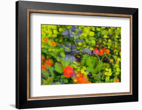 Floral abstract ll-Heidi Westum-Framed Photographic Print