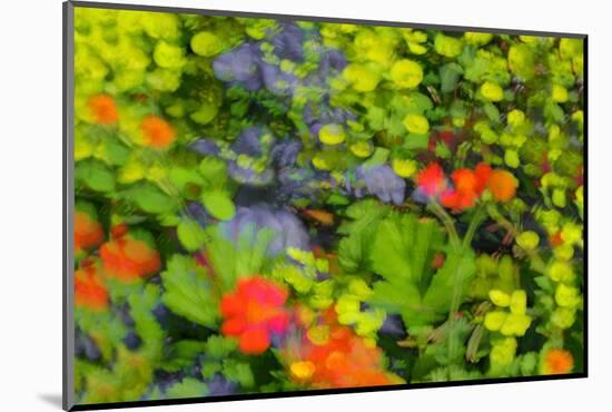 Floral abstract ll-Heidi Westum-Mounted Photographic Print