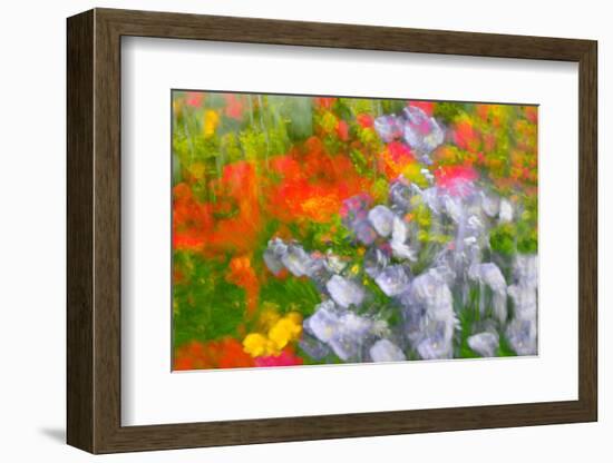 Floral abstract-Heidi Westum-Framed Photographic Print