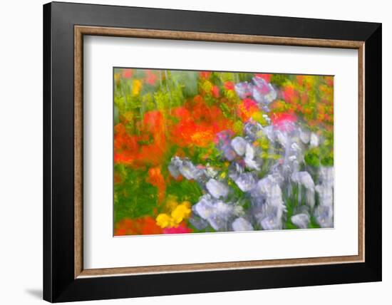 Floral abstract-Heidi Westum-Framed Photographic Print